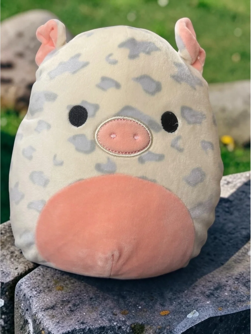 Squishmallows Rosie the Spotted Pig 8” Plush Pink Gray Kellytoy